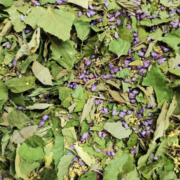 Mélange tisane des Libellules